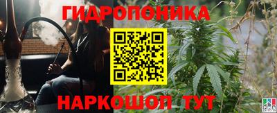твердый Гай