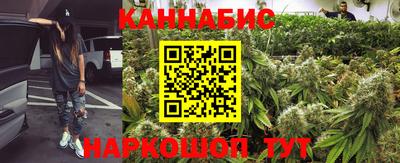 трава Гатчина