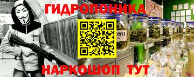 трава Гатчина