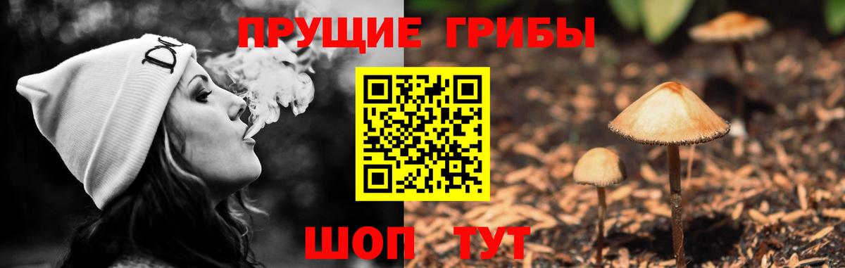 Псилоцибиновые грибы прущие грибы Нефтекамск